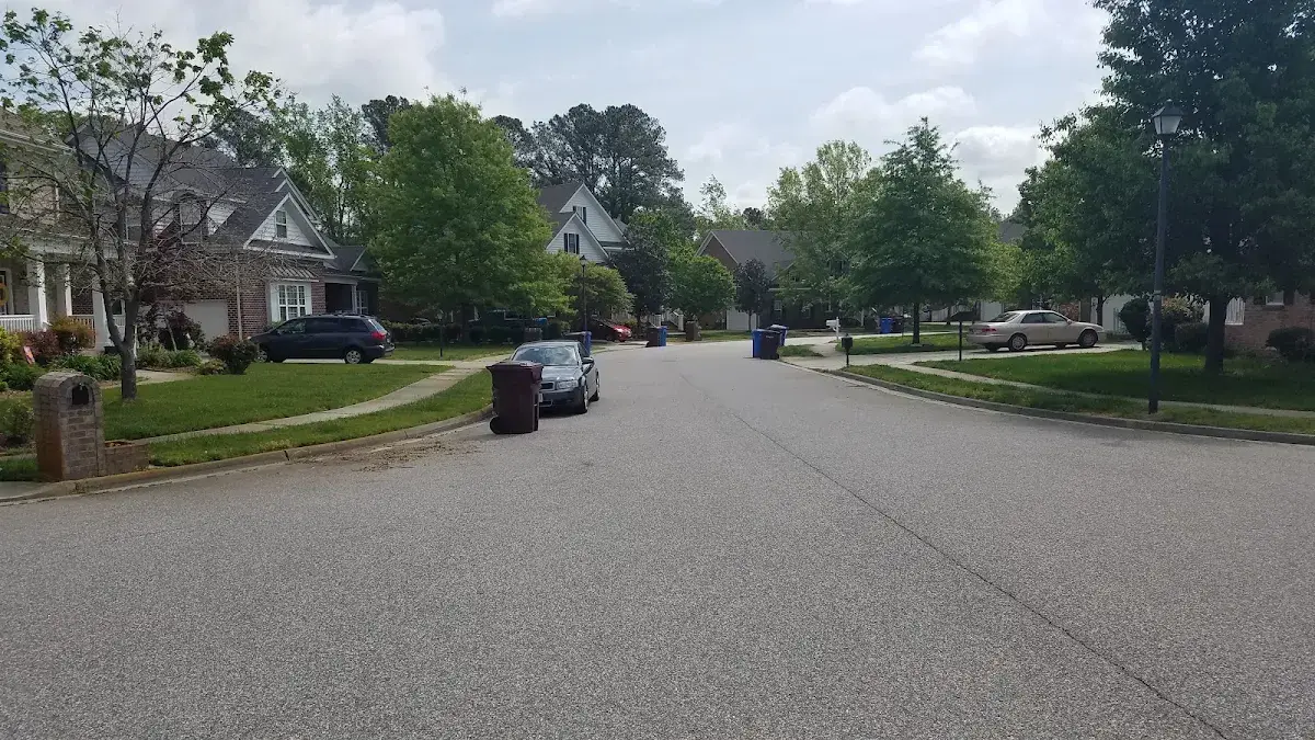 Leafy residential street with large homes and mature trees