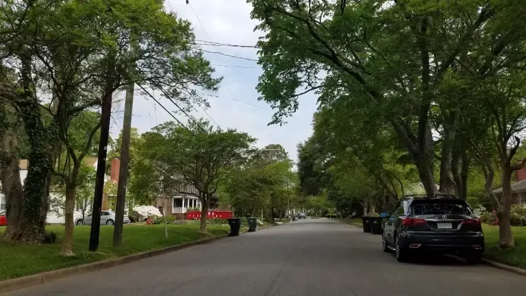 Tree-lined residential street shaded by a leafy canopy